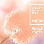 2024’s Pantone Colour of the Year is Peach Fuzz. How to use it. 11 peach fuzz new pantone color of the yesr is it olive v0 92dli2bzat5c1 1