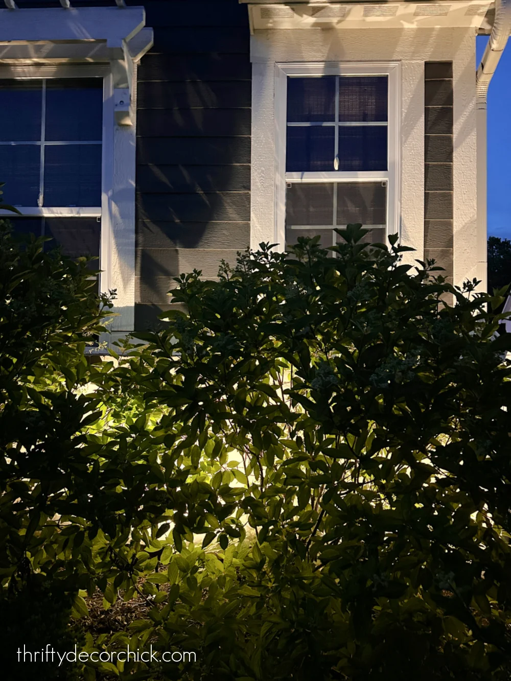 flood lights on house with bushes